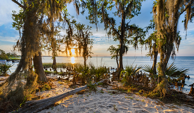 The 5 best camping getaways Louisiana has to offer